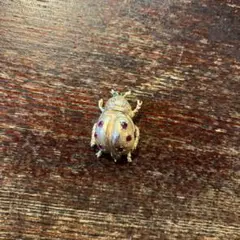 ドーラン　ブローチ