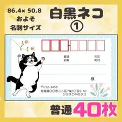 【白黒ネコ①】宛名シール　差出人シール　普通サイズ　40枚　シンプル　動物　ネコ