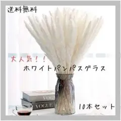 ホワイトパンパスグラス10本ハンドメイドスワッグ花材北欧