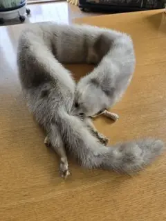 リアルファー グレー マフラー