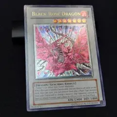 ブラック・ローズ・ドラゴン 英語 レリーフ アンリミ 北米