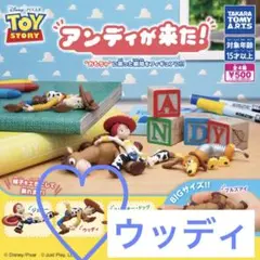 トイストーリー　アンディが来た！　ウッディ