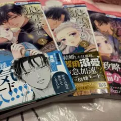 狼皇子と嘘つきな結婚 1巻〜3巻　セット
