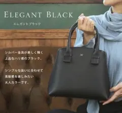 極美品⭐︎【傳濱野】2wayトートバッグ Lateure（ラチュレ）　黒