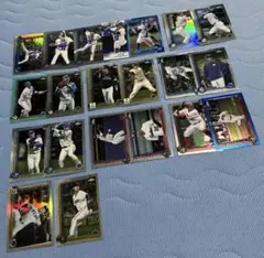 Item thumbnail for item e6c21639-fc7e-4d64-a54e-11fdea1ee44c