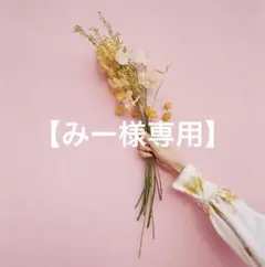 【みー様専用】