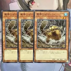 遊戯王 素早いビーバー ノーマル 3枚