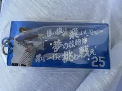 中日ドラゴンズ　応援歌キーホルダー　石川昂弥　ドラゴンズガチャ
