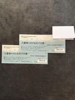 城島高原パーク 入園券+のりものパス券 2枚セット