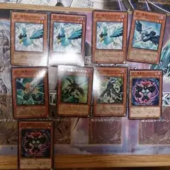 遊戯王   BFパーツ