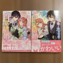 お針子令嬢と氷の伯爵の白い結婚 1、2巻