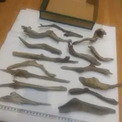 Item thumbnail for item 236c3669-0191-4ba6-a12d-3c71552695f3