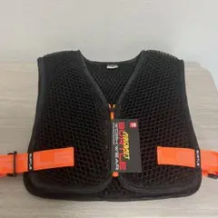 Item thumbnail for item 752cd463-f05b-4a89-adcc-c79e9af090bd