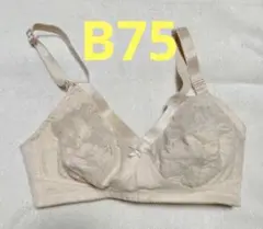 Item thumbnail for item 2b9d117b-9205-4c97-b5e9-6fba04ef52a9