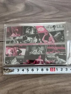 【非売品】【新品未開封】秋田ノーザンハピネッツ アクリルスタンド Bリーグ