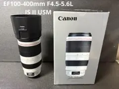 Item thumbnail for item 06e6d819-ecb0-420a-9853-993ba0fb7c44