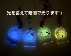 感謝SALE❤️各限定1❤️蓄光石入り暗闇で光る　レジン　シマエナガちゃん　チャーム