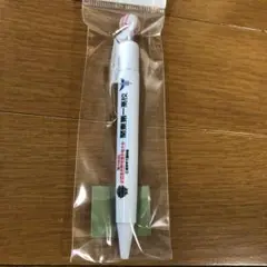 第106回全国高校野球選手権大会　校名ボールペン　関東第一　甲子園
