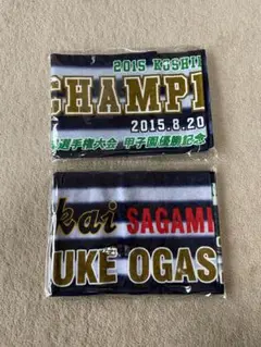 2015 甲子園　東海大相模　優勝記念　小笠原慎之介　東海大相模野球部　非売品2