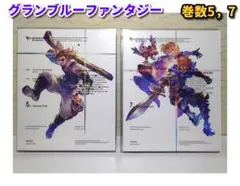 GRANBLUE FANTASY The Animation／DVD2枚セット