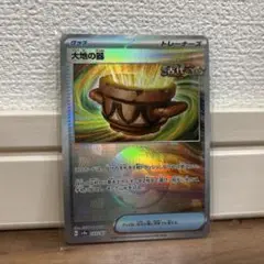 大地の器　モンスターボールミラー