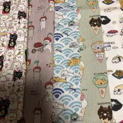 猫生地　こっとんこばやし　5個セット