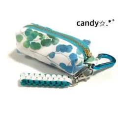 ゴルフボールケース ミニティーホルダー付き✩.*˚ ユーカリ
