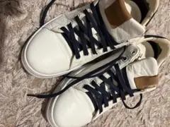 Item thumbnail for item e10ff765-2b70-45f0-9b83-3e30cbc28208