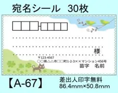 宛名シール30枚【A-67】メッセージ/ラベル/差出人/シール/ハンドメイド