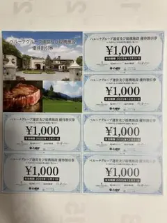【匿名配送】ベルーナ 株主優待 施設優待割引券 6,000円分