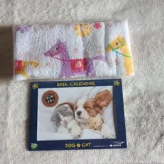 Item thumbnail for item ff89af4b-4f9b-4382-ac06-1b09aaf68f70