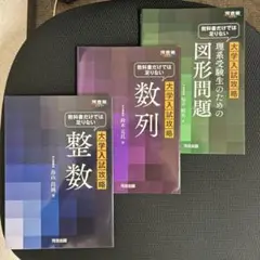 河合塾 北海道大学 北大数学(IIB＋ベクトル型) テキスト/テスト4回分付2024 完成シリーズ/夏期/冬期3冊 福井敏英 016S0D 河合塾 北海道大学 北大数学(IIB＋ベクトル型) テキスト/テスト4