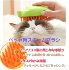 Item thumbnail for item 2345cb7d-7041-497b-b2b0-abd198ee75ef