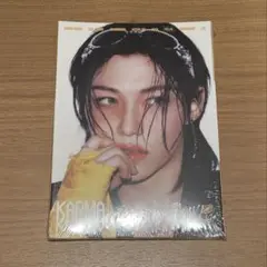 stray kids straykids フィリックス　新品未開封