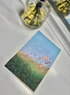 秋桜　油彩画　原画　ポストカード　ハガキ　花　風景