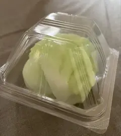 レタスの食品サンプル
