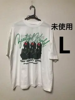 TAIN double push Tシャツ　タインダブルプッシュ　ビューティフル