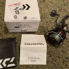 ダイワ 21カルディアLT 4000-CXH DAIWA