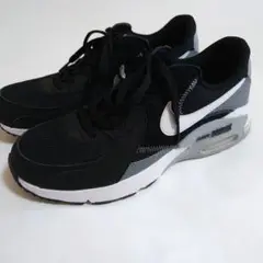Nike Air Max エアマックス　エクシー