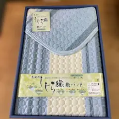 新品　未使用 防ダニ 敷パッド シングルサイズ 100×205 cm