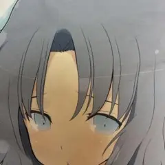 正規品。戦乱かぐら。ゆみ。抱き枕カバー