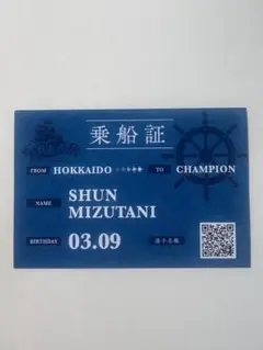 水谷　オフィシャルストア限定 乗船証 北海道日本ハムファイターズ　53