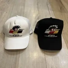 Item thumbnail for item b1d84ba7-3703-418e-b22b-74a55cd74b8e