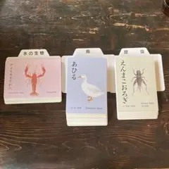 【118枚】知育 フラッシュカード9〜11水の生物,鳥,昆虫 家庭保育園絵カード