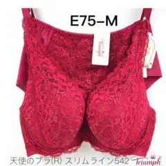 Item thumbnail for item 08f7f913-b871-4297-8228-397b21a82392