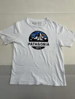 patagonia オーガニックコットン Tシャツ S