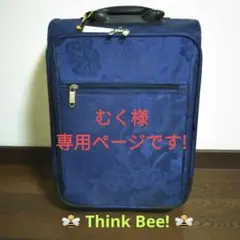 シンクビー　キャリーバッグ　スーツケース　機内持ち込み　think bee EXCITECH (旅割1000円OFFクーポン) スーツケース s (現役CA監修