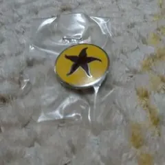 ミナペルホネンヒトデバッジ