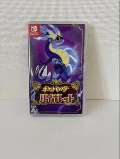Nintendo Switch ポケットモンスター バイオレット