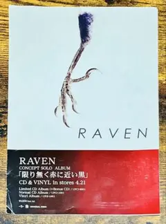 照井利幸 RAVEN 限り無く赤に近い黒 販促フライヤー チラシ